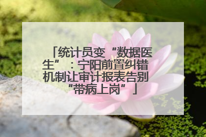 统计员变“数据医生”：宁阳前置纠错机制让审计报表告别“带病上岗”