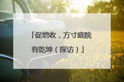 促增收，方寸庭院有乾坤（探访）