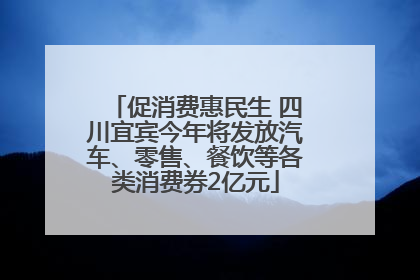 促消费惠民生 四川宜宾今年将发放汽车、零售、餐饮等各类消费券2亿元