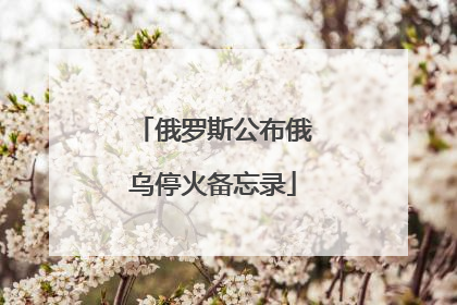 俄罗斯公布俄乌停火备忘录