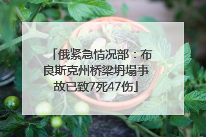 俄紧急情况部：布良斯克州桥梁坍塌事故已致7死47伤