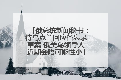 俄总统新闻秘书：待乌克兰回应备忘录草案 俄美乌领导人近期会晤可能性小
