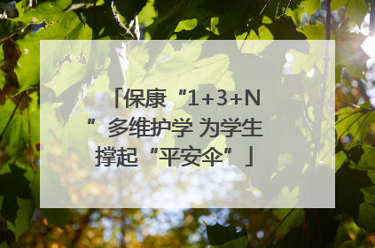 保康“1+3+N”多维护学 为学生撑起“平安伞”