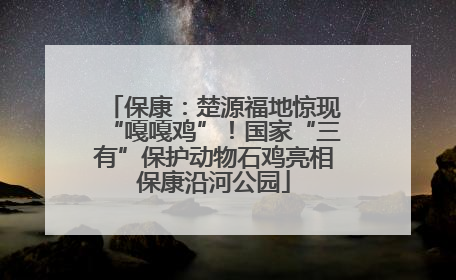 保康：楚源福地惊现“嘎嘎鸡”！国家“三有”保护动物石鸡亮相保康沿河公园