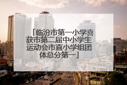 临汾市第一小学喜获市第二届中小学生运动会市直小学组团体总分第一
