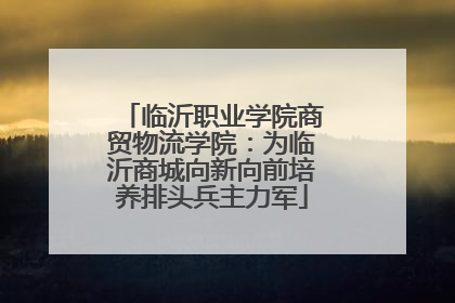 临沂职业学院商贸物流学院：为临沂商城向新向前培养排头兵主力军