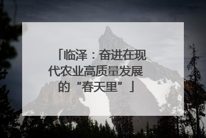 临泽：奋进在现代农业高质量发展的“春天里”