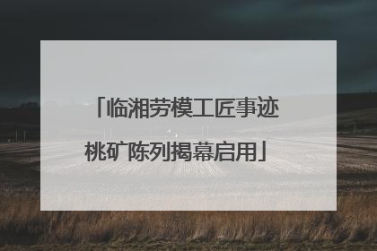 临湘劳模工匠事迹桃矿陈列揭幕启用