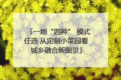 一地“四种” 模式任选 从定制小菜园看城乡融合新图景