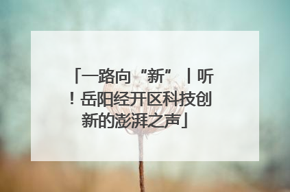 一路向“新”丨听！岳阳经开区科技创新的澎湃之声