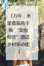 万年：水果番茄喜丰收 “甜蜜经济”激活乡村新动能