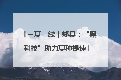 三夏一线｜郏县：“黑科技”助力夏种提速