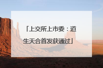 上交所上市委：道生天合首发获通过