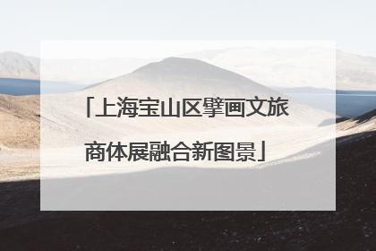 上海宝山区擘画文旅商体展融合新图景
