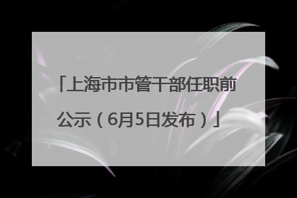 上海市市管干部任职前公示（6月5日发布）
