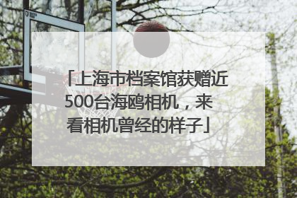 上海市档案馆获赠近500台海鸥相机，来看相机曾经的样子
