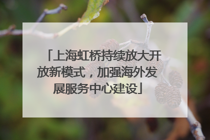 上海虹桥持续放大开放新模式，加强海外发展服务中心建设