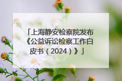 上海静安检察院发布《公益诉讼检察工作白皮书（2024）》