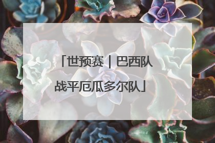世预赛｜巴西队战平厄瓜多尔队