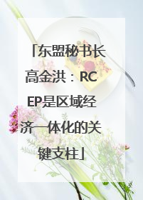 东盟秘书长高金洪：RCEP是区域经济一体化的关键支柱
