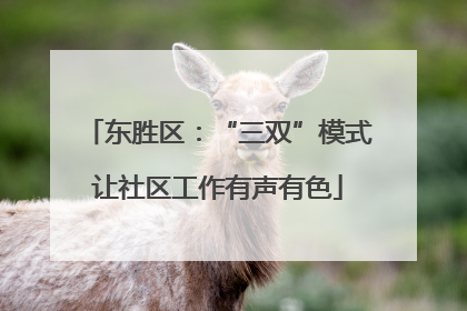 东胜区：“三双”模式让社区工作有声有色