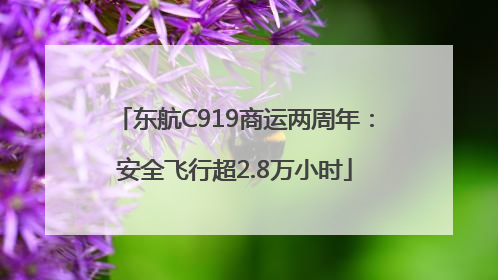 东航C919商运两周年：安全飞行超2.8万小时