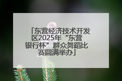 东营经济技术开发区2025年“东营银行杯”群众舞蹈比赛圆满举办