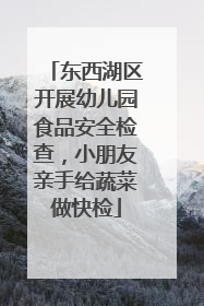 东西湖区开展幼儿园食品安全检查，小朋友亲手给蔬菜做快检