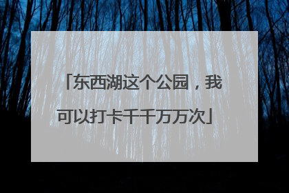 东西湖这个公园，我可以打卡千千万万次
