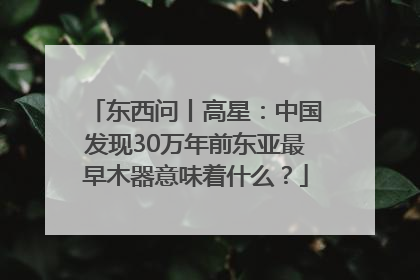 东西问丨高星：中国发现30万年前东亚最早木器意味着什么？