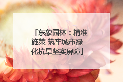 东象园林：精准施策 筑牢城市绿化抗旱坚实屏障