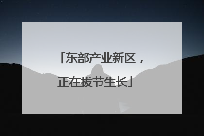东部产业新区，正在拔节生长