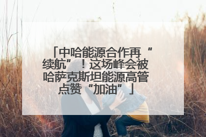 中哈能源合作再“续航”！这场峰会被哈萨克斯坦能源高管点赞“加油”