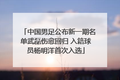 中国男足公布新一期名单武磊伤愈回归 入籍球员杨明洋首次入选