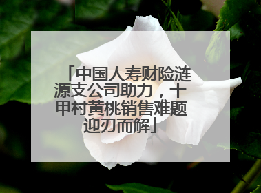 中国人寿财险涟源支公司助力，十甲村黄桃销售难题迎刃而解
