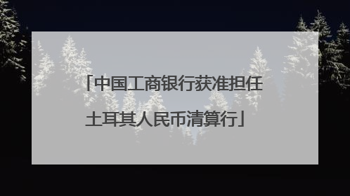 中国工商银行获准担任土耳其人民币清算行