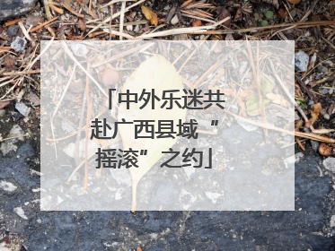 中外乐迷共赴广西县域“摇滚”之约