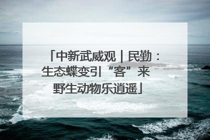 中新武威观｜民勤：生态蝶变引“客”来 野生动物乐逍遥
