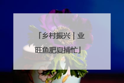 乡村振兴｜业旺鱼肥夏捕忙