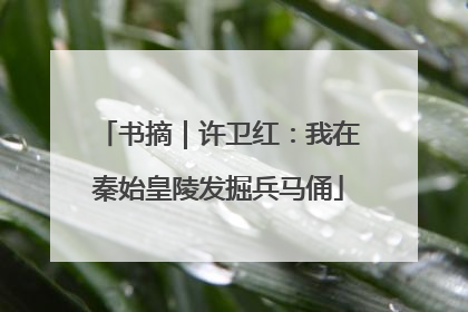 书摘｜许卫红：我在秦始皇陵发掘兵马俑