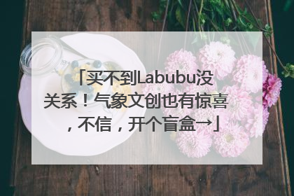 买不到Labubu没关系！气象文创也有惊喜，不信，开个盲盒→