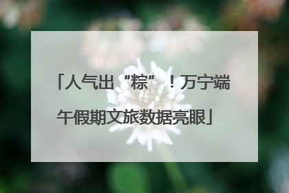 人气出“粽”！万宁端午假期文旅数据亮眼