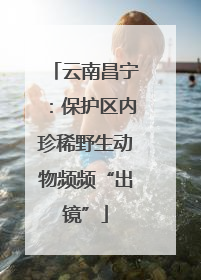 云南昌宁：保护区内珍稀野生动物频频“出镜”
