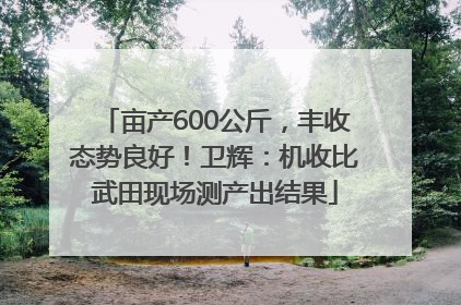 亩产600公斤，丰收态势良好！卫辉：机收比武田现场测产出结果