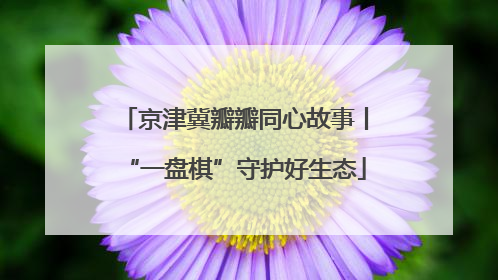 京津冀瓣瓣同心故事丨“一盘棋”守护好生态