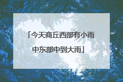 今天商丘西部有小雨 中东部中到大雨