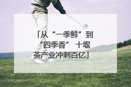 从“一季鲜”到“四季香” 十堰茶产业冲刺百亿