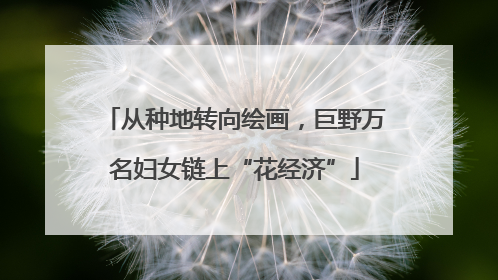 从种地转向绘画，巨野万名妇女链上“花经济”