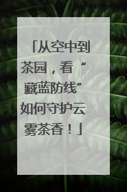 从空中到茶园，看“藏蓝防线”如何守护云雾茶香！