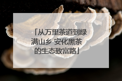 从万里茶道到绿满山乡 安化黑茶的生态致富路